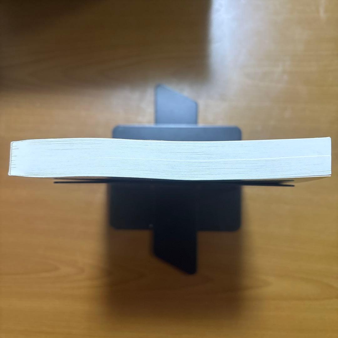 Essentials of Stochastic Processes【洋書美品】