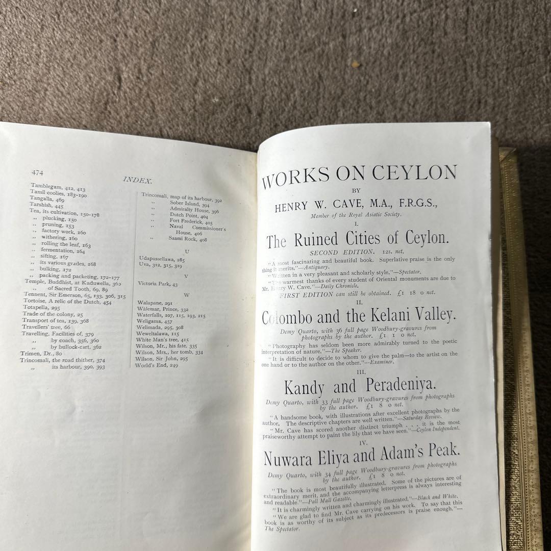 希少 1900年 3面金装飾 GOLDEN TIPS 紅茶 研究書 アンティーク