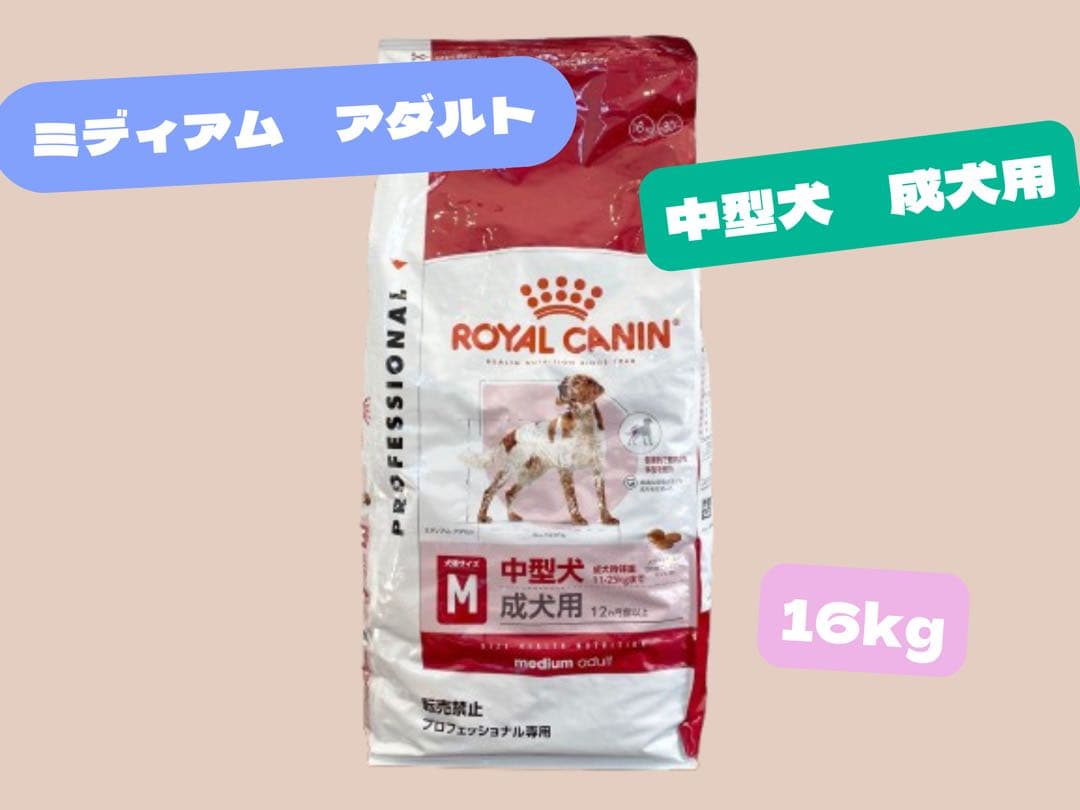 なちゅ