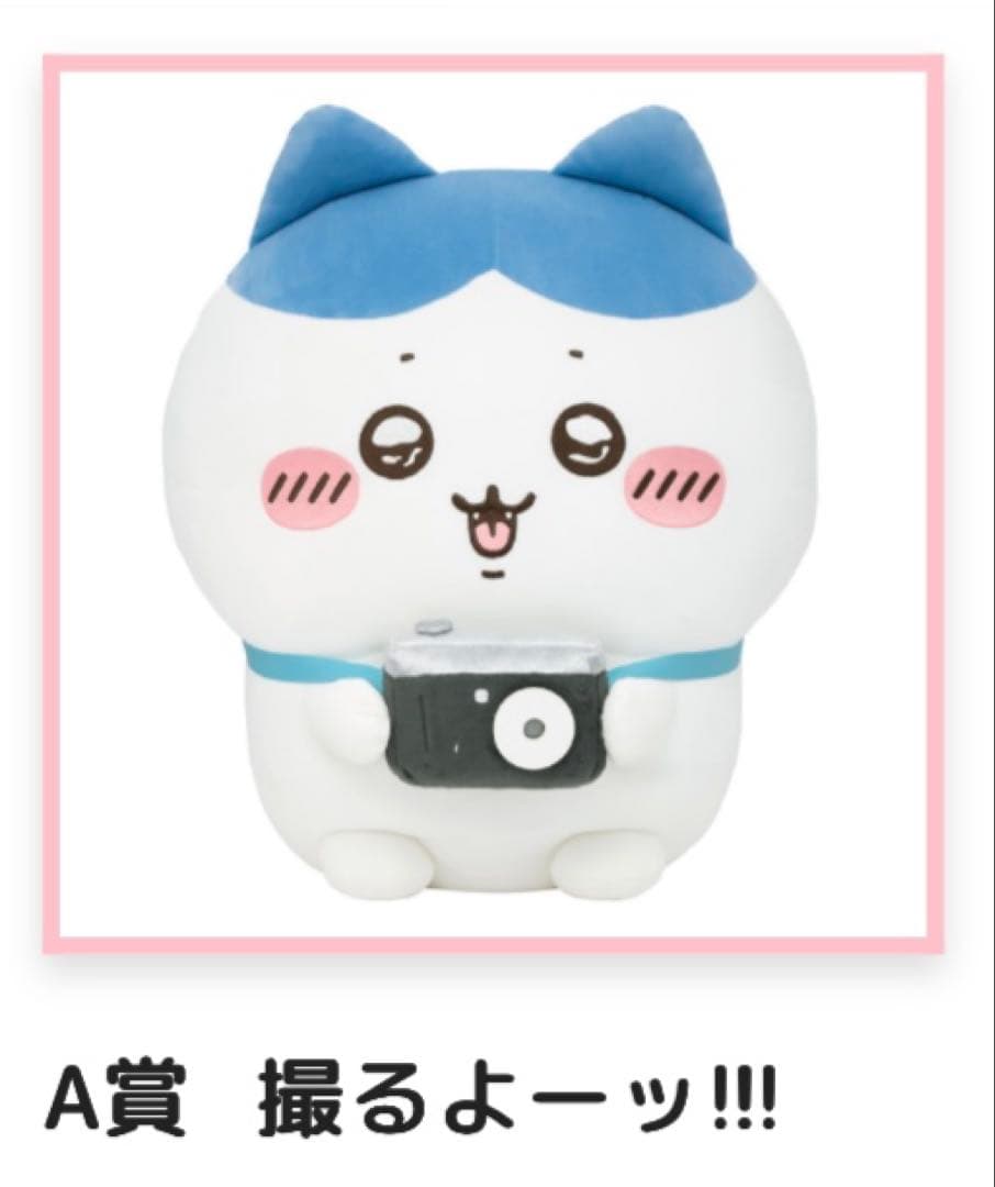 ちいかわ ハチワレだらけくじ A賞 撮るよーッ!!!