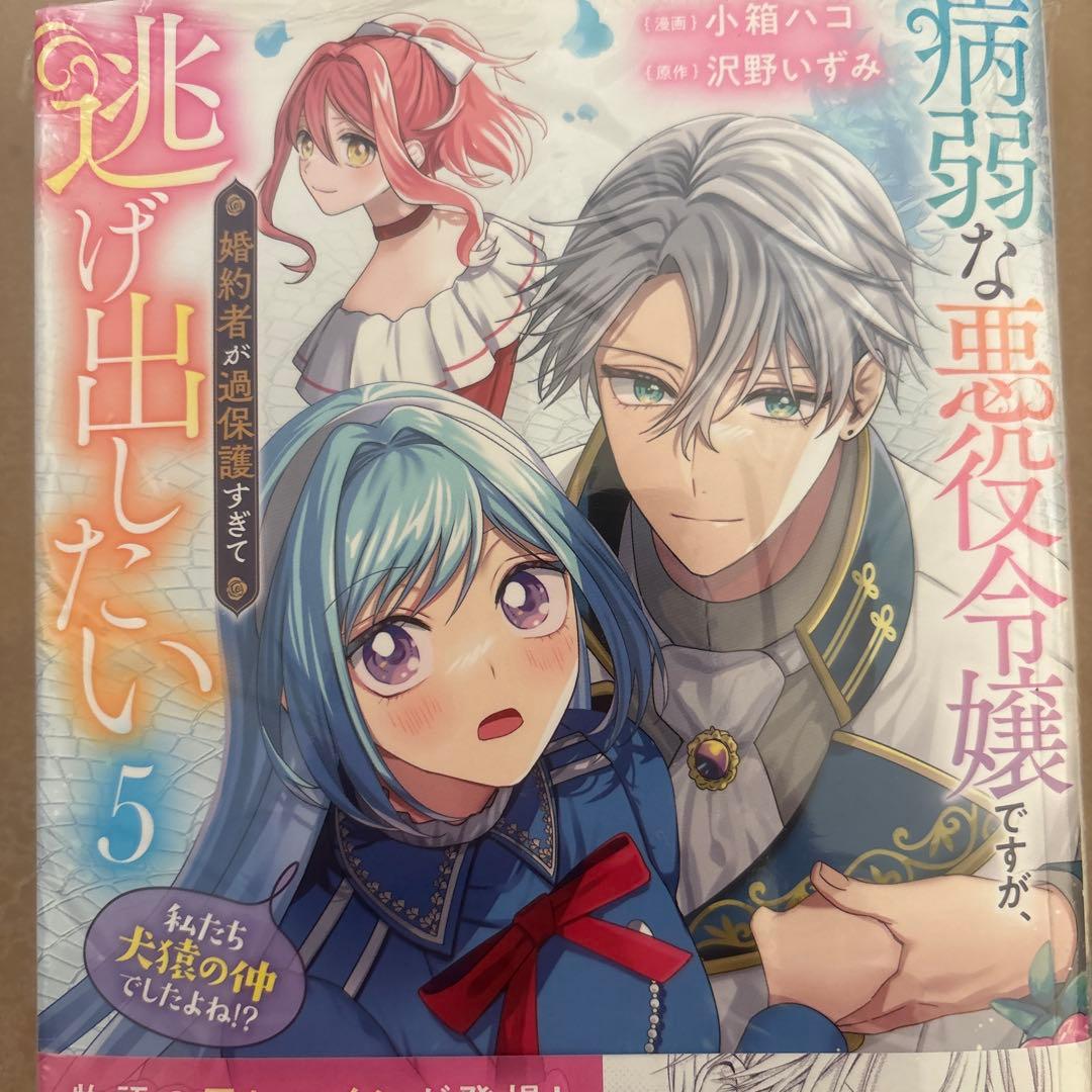 みや。
