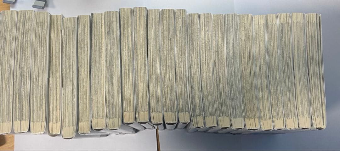 文豪ストレイドッグス 23巻まで その他小説 楽描手帖12冊