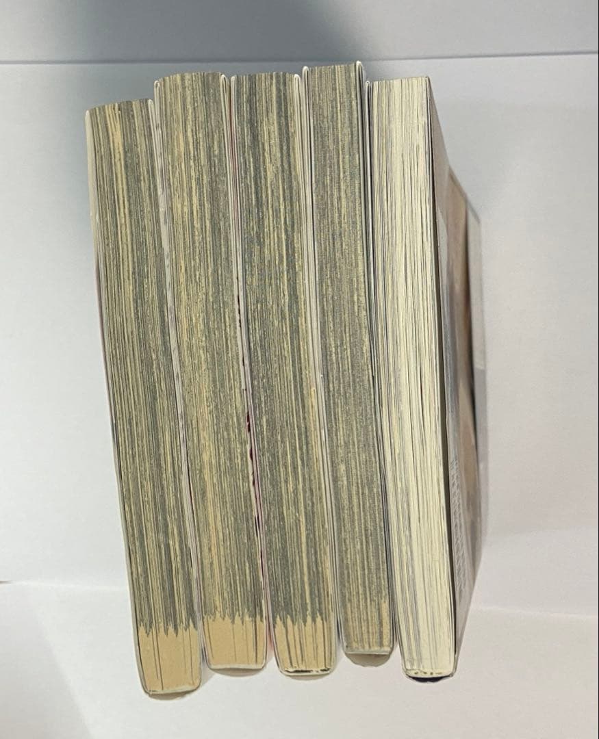 文豪ストレイドッグス 23巻まで その他小説 楽描手帖12冊