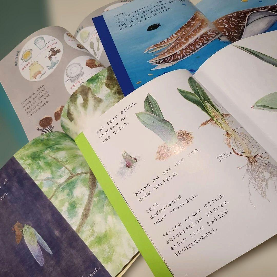 かがくのとも 絵本セット 24巻