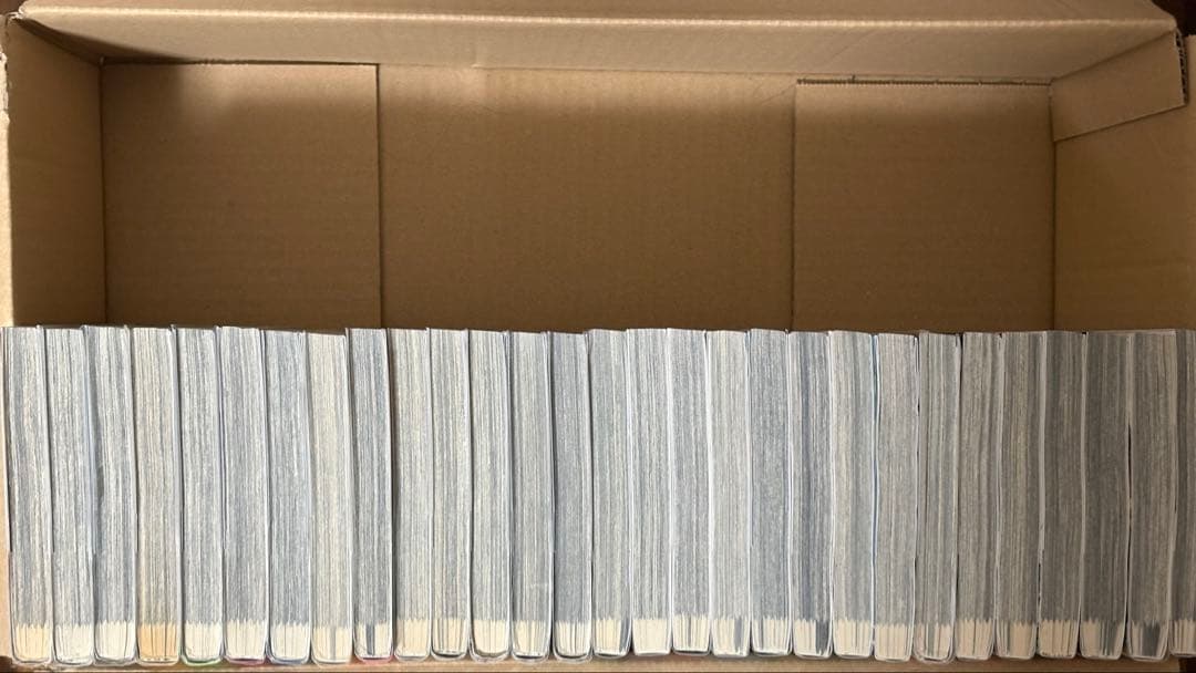 ゴールデンカムイ　1-29セット　おまけ:公式ファンブック付き