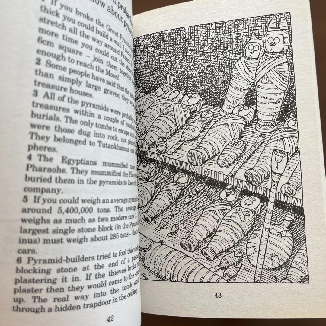 HORRIBLE HISTORIES 英語ペーパーバック　23冊セット