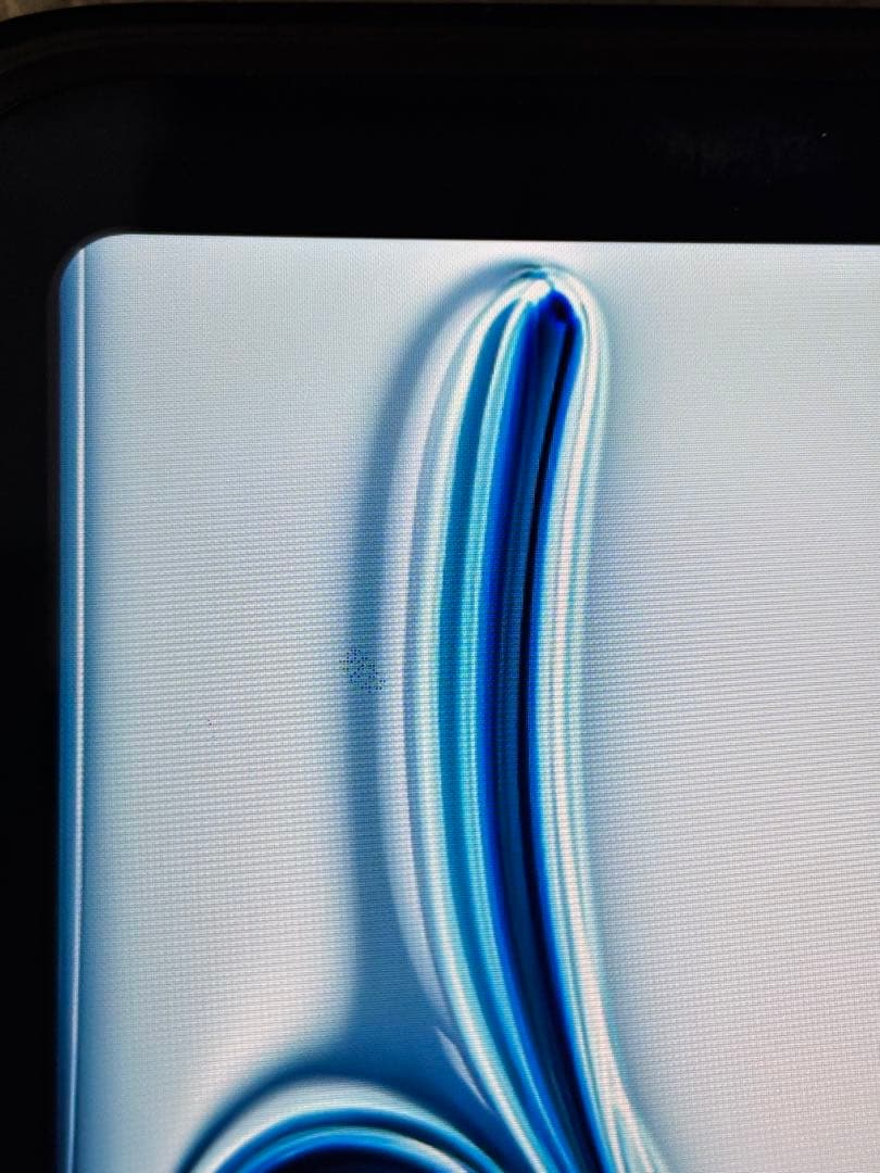 Apple iPad Pro 11 第2世代　128GB 93% ケース付き