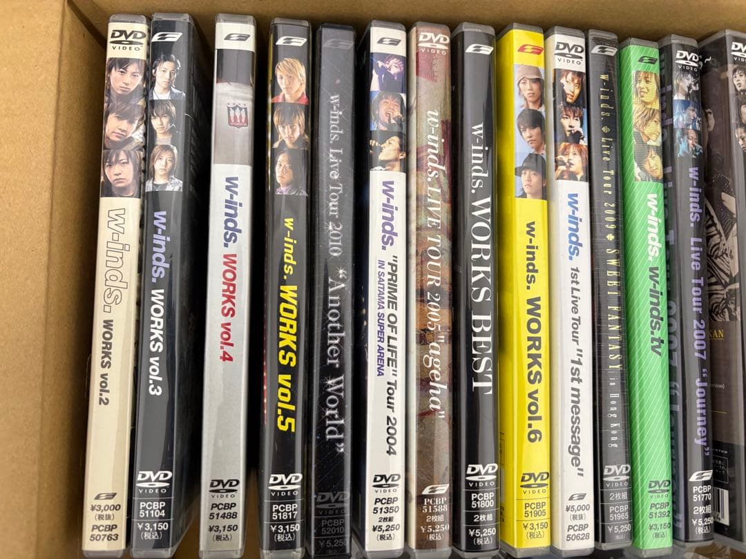 w-inds. DVDコレクション 20本