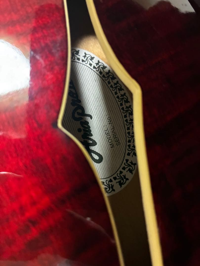 【Aria proⅡ⭐︎セミアコ】(ギター本体)TA?中古品⭐︎音出しokセミホロウ