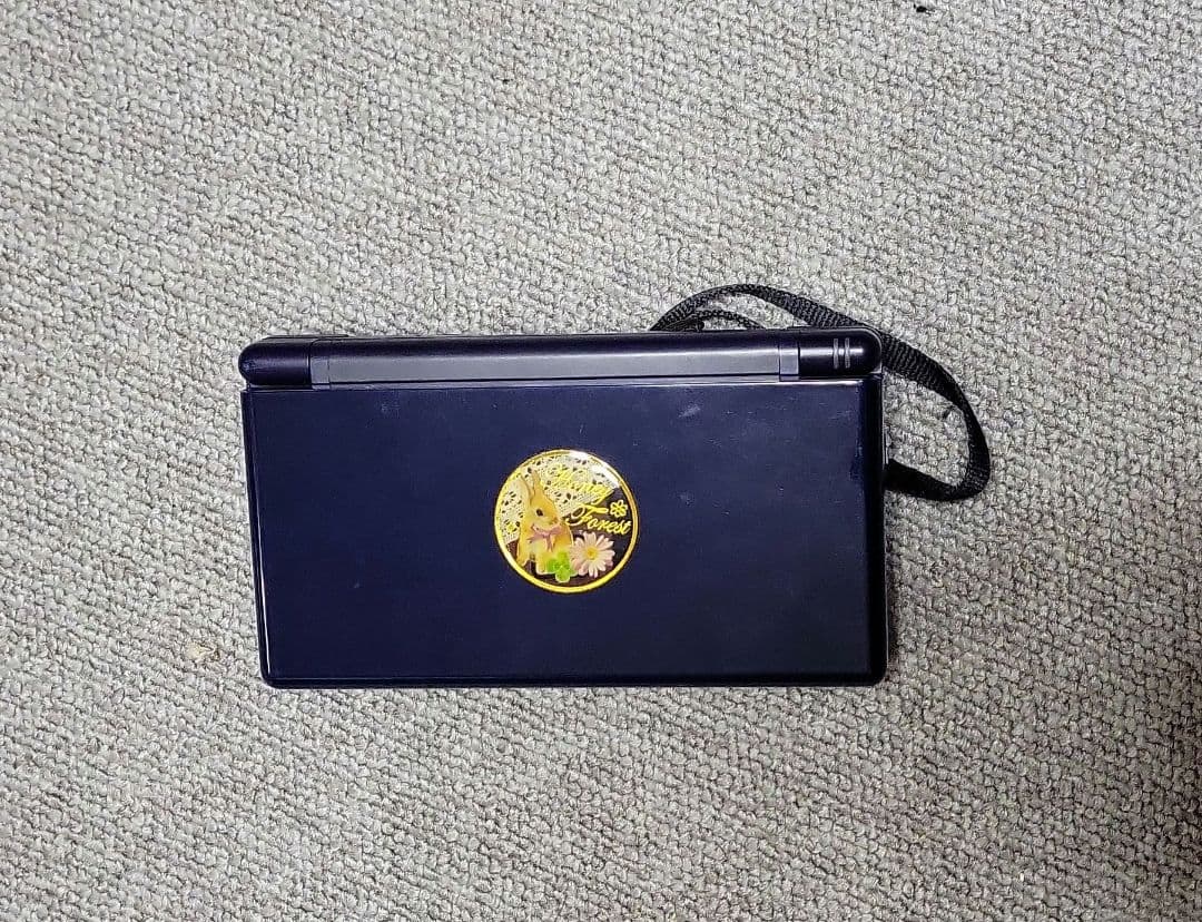 ニンテンド-DS LITE