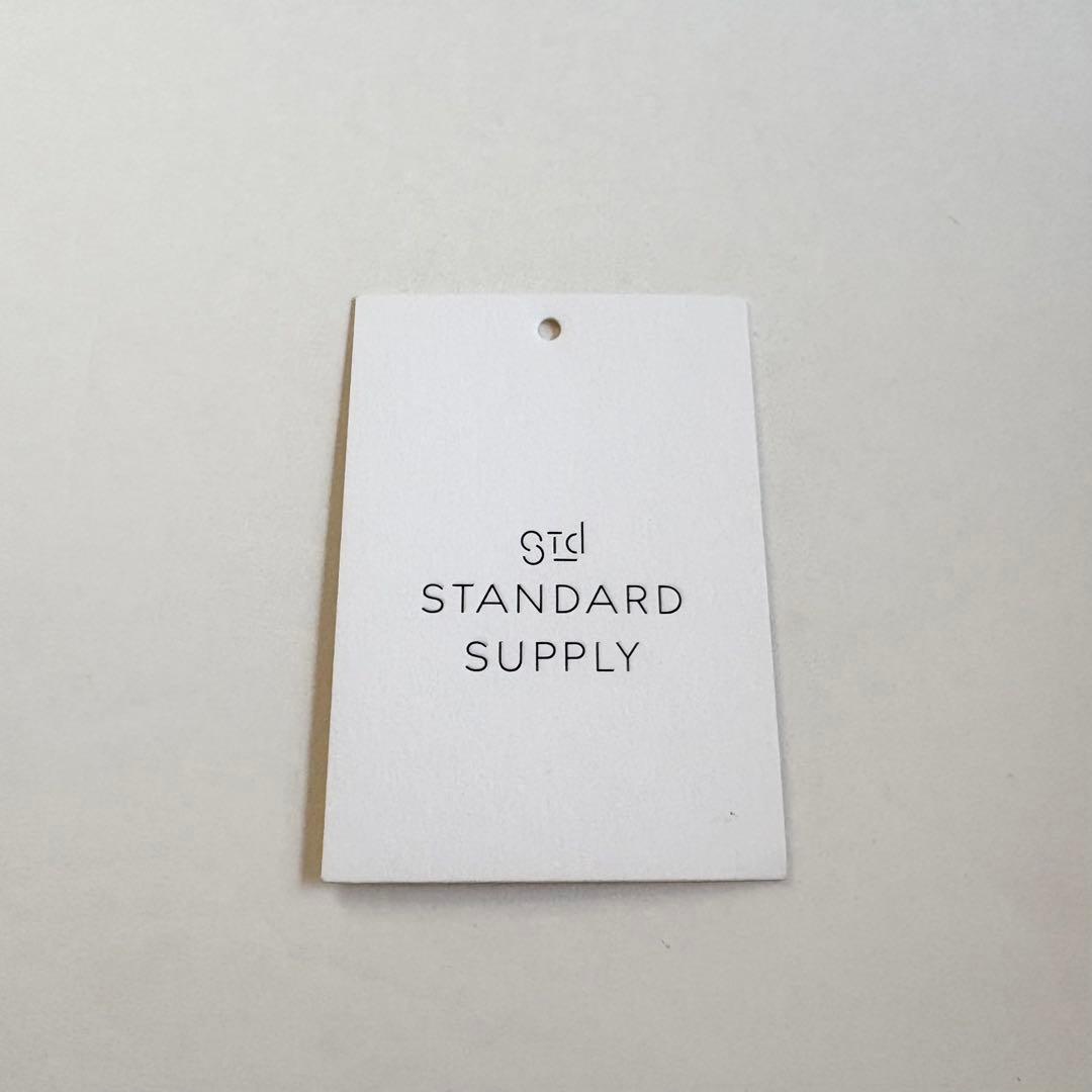 STANDARD SUPPLY ┊ SIMPLICITY FANNY PACK