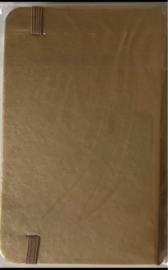 【当選品】 杖と剣のウィストリア ゴールドカバーノート 【非売品】