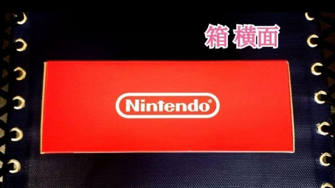 新品 Nintendo Switch Lite 《ターコイズ》