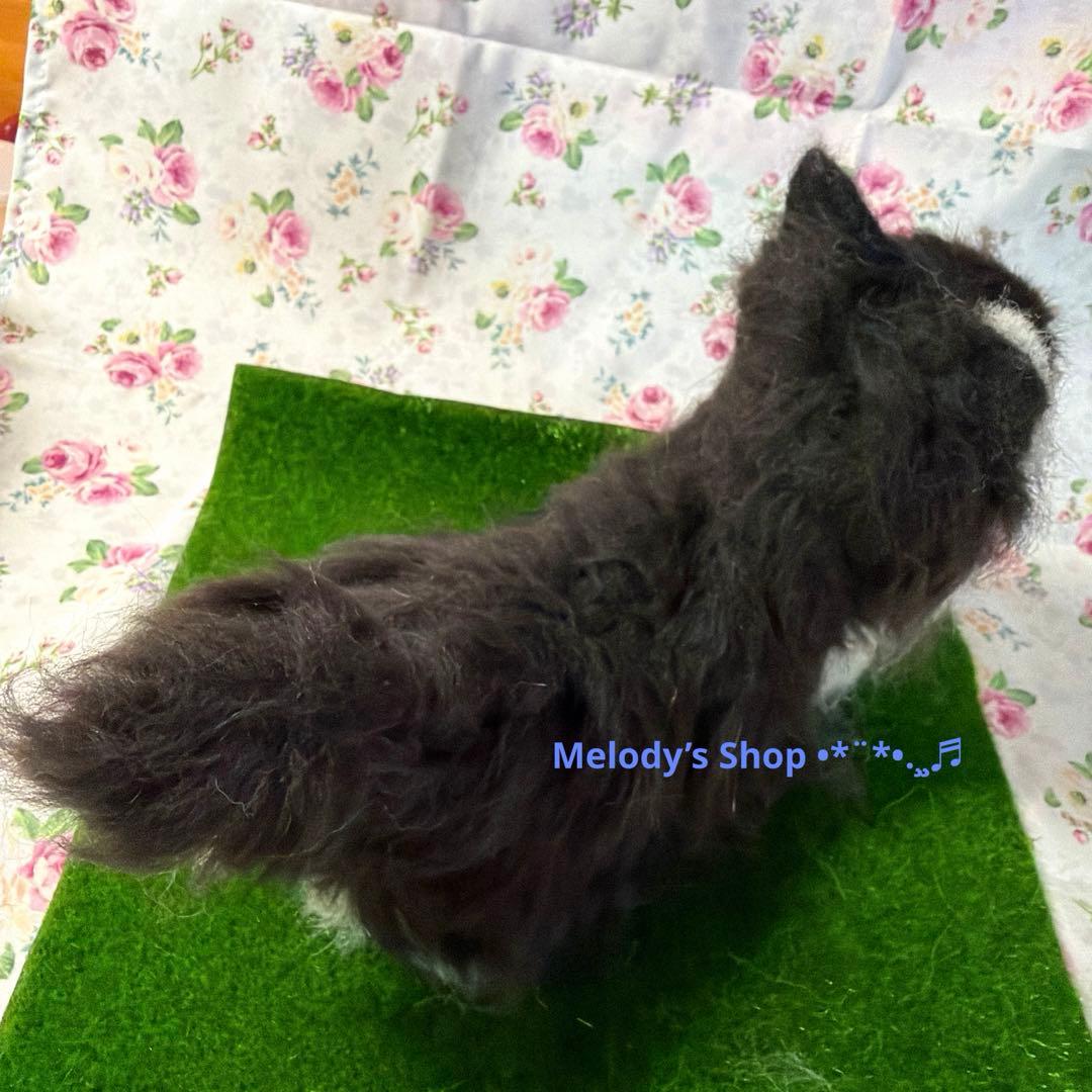 羊毛フェルト　チワワ　ブラックタン　伏せポーズ❀︎