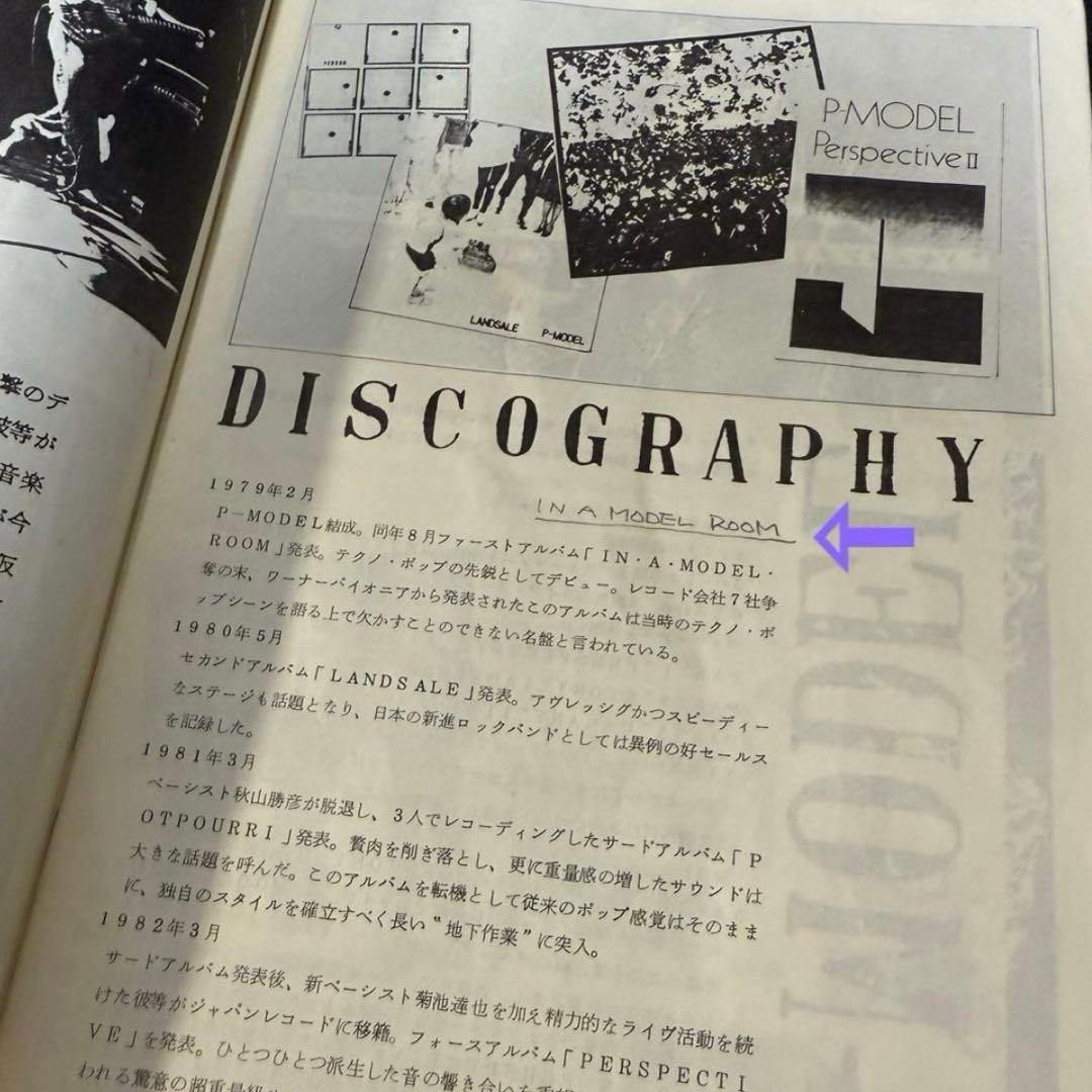 P-MODEL ANOTHER PAPERS 平沢 進 レア
