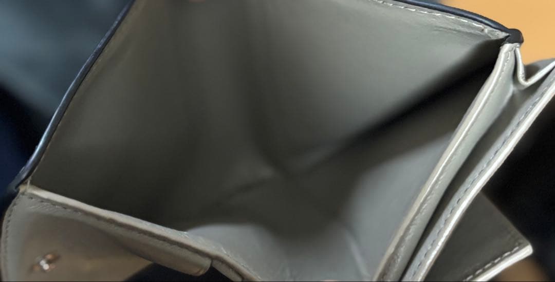 BALENCIAGA パイソン柄ミニ財布