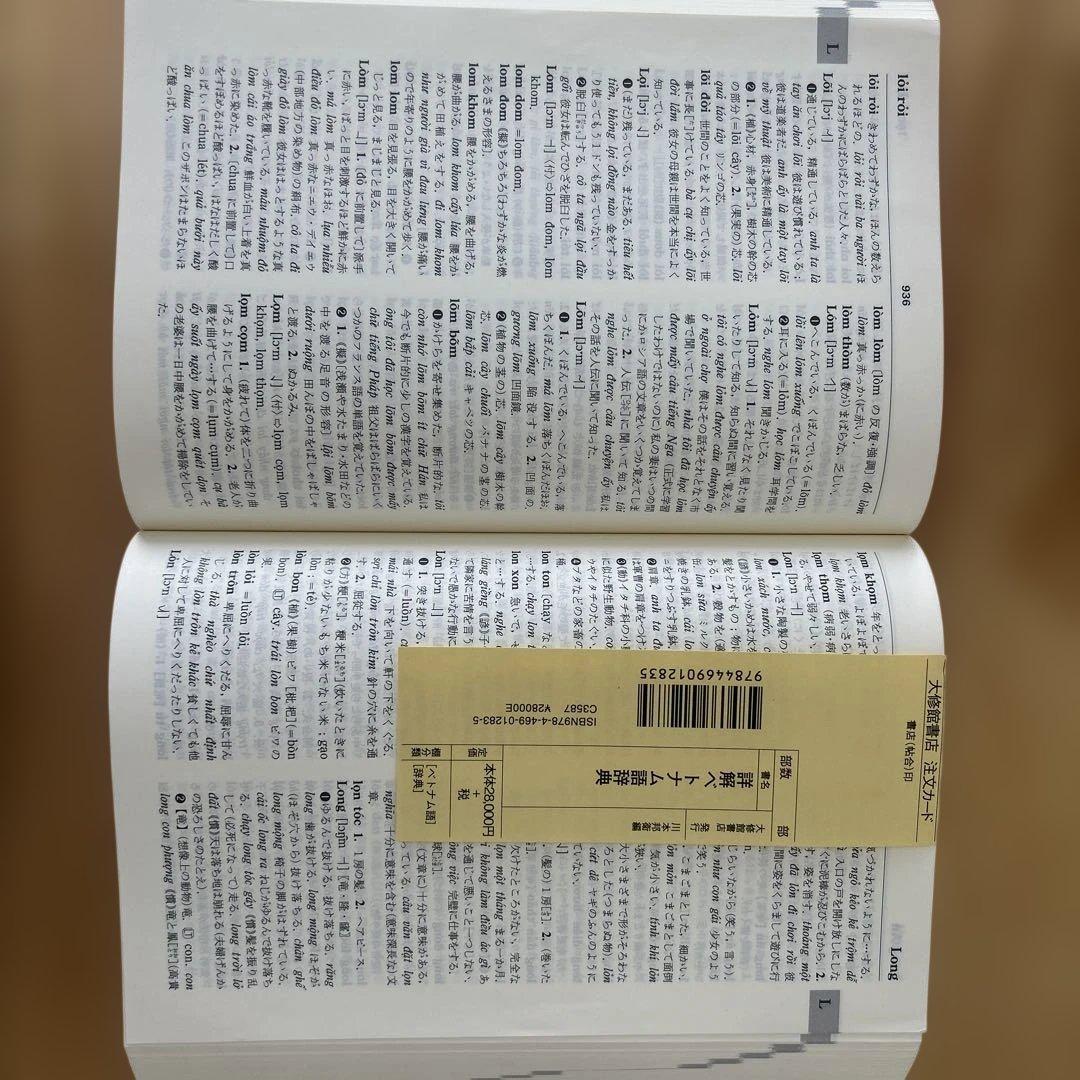 詳解ベトナム語辞典