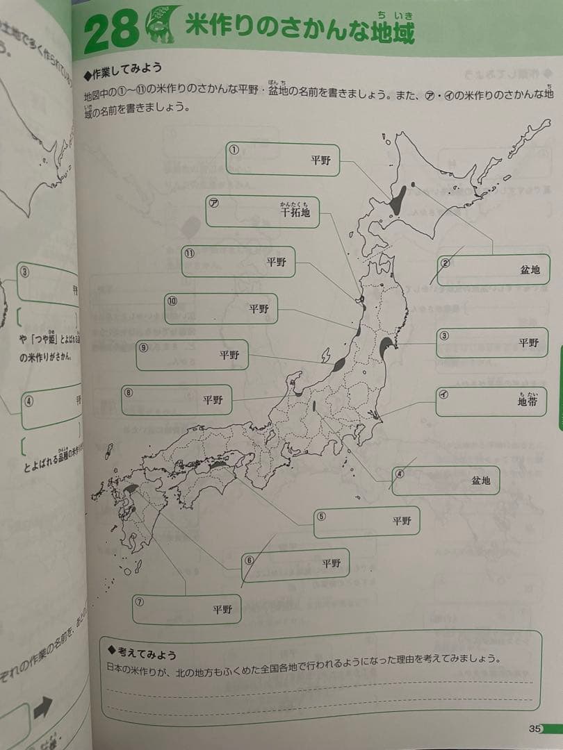 サピックス 6年生 社会テキスト 1年分 最新 2026年受験 桜蔭