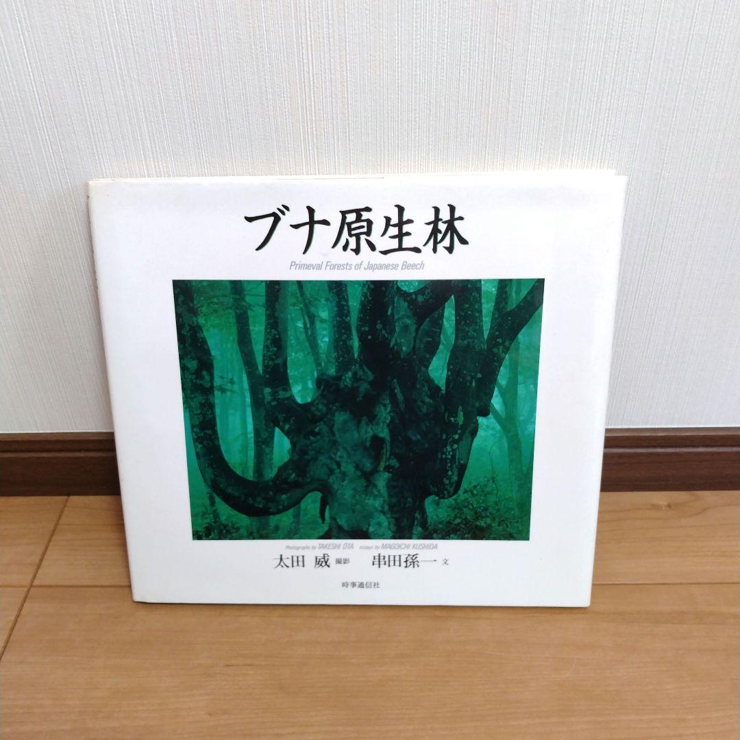 富山愛子写真集　時事通信社　写真集　尾瀬　上高地　ブナ原生林　全冊初版