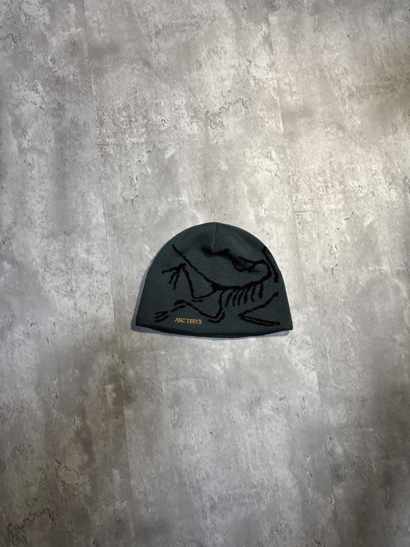 ARC'TERYX BIRD ヘッドトーク　ビーニー帽子