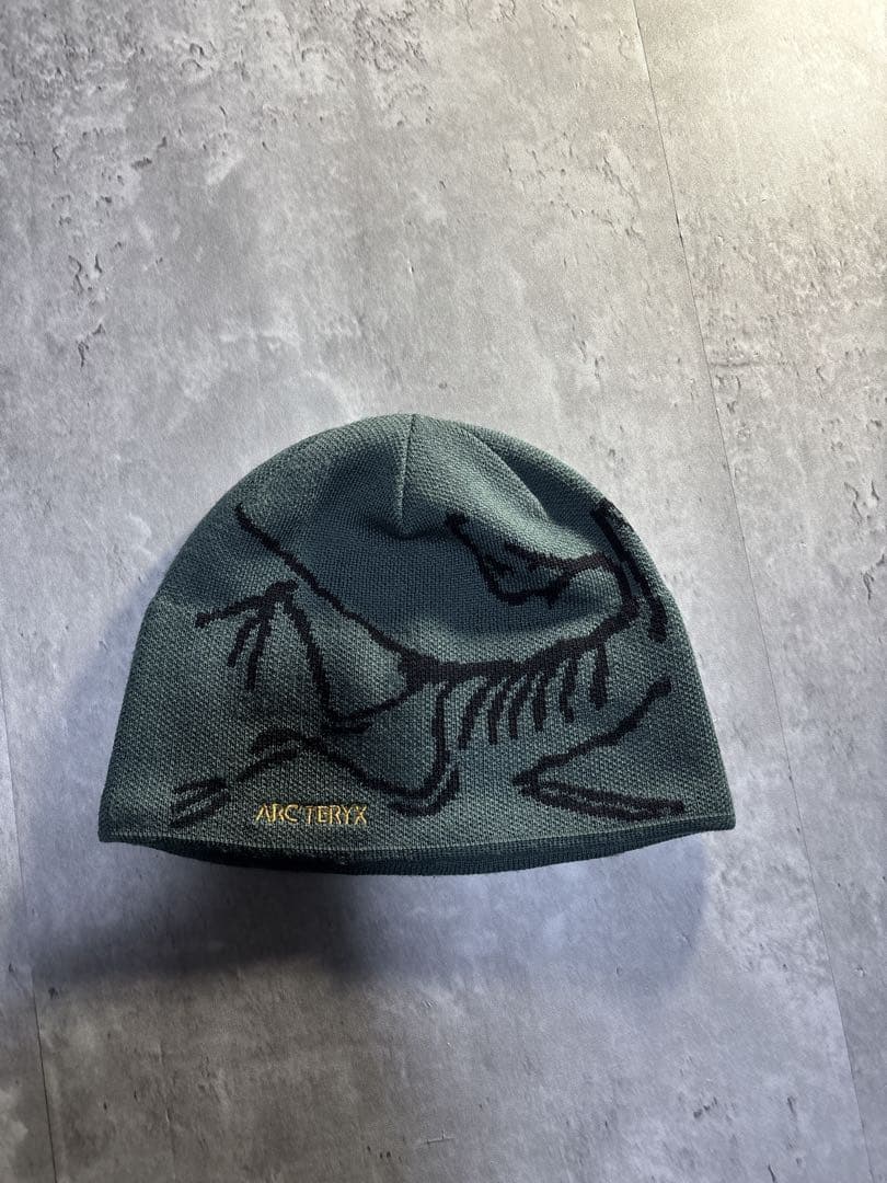 ARC'TERYX BIRD ヘッドトーク　ビーニー帽子