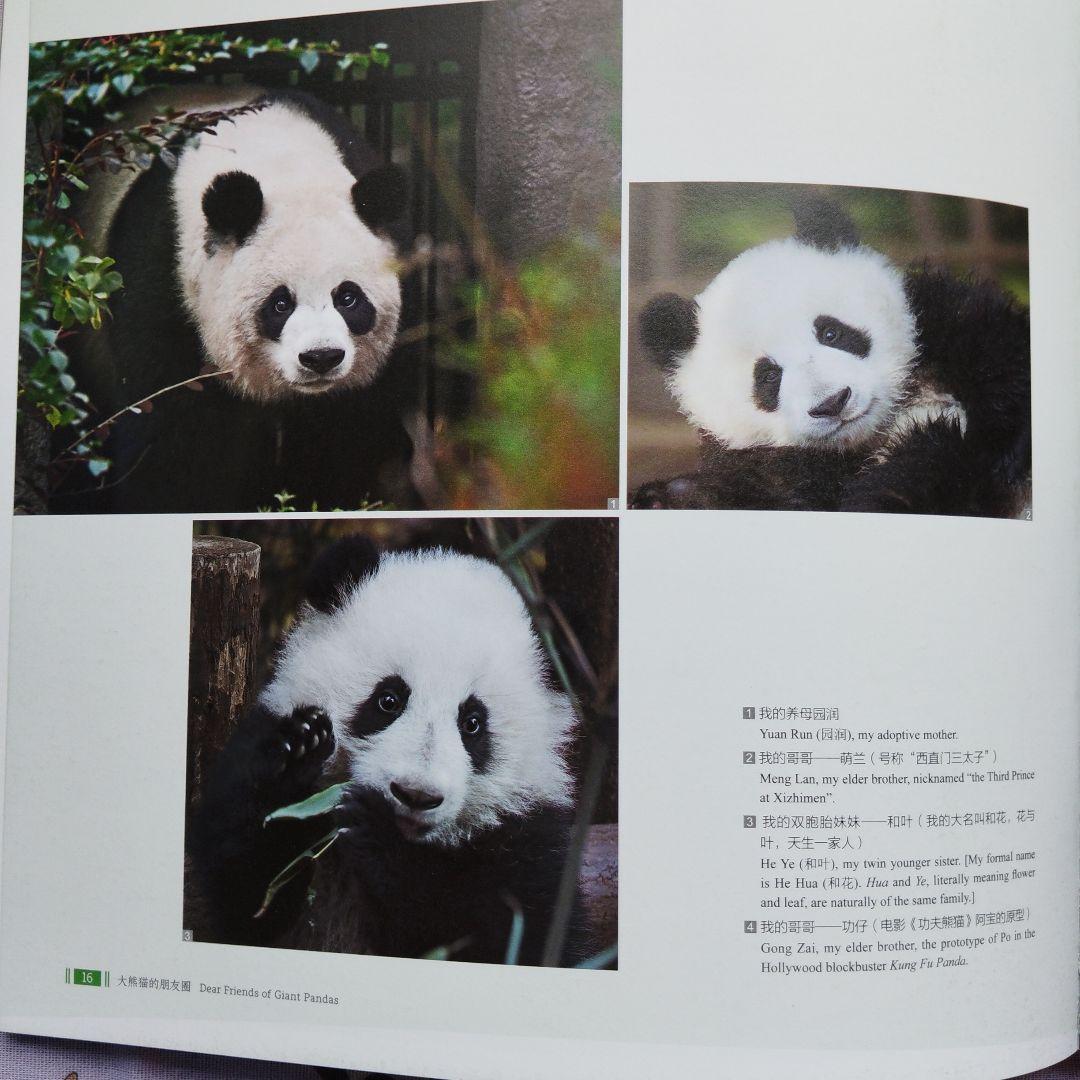 【レア品！新品・未使用品】和花ちゃん視点の限定品写真集「大熊猫的朋友圏」