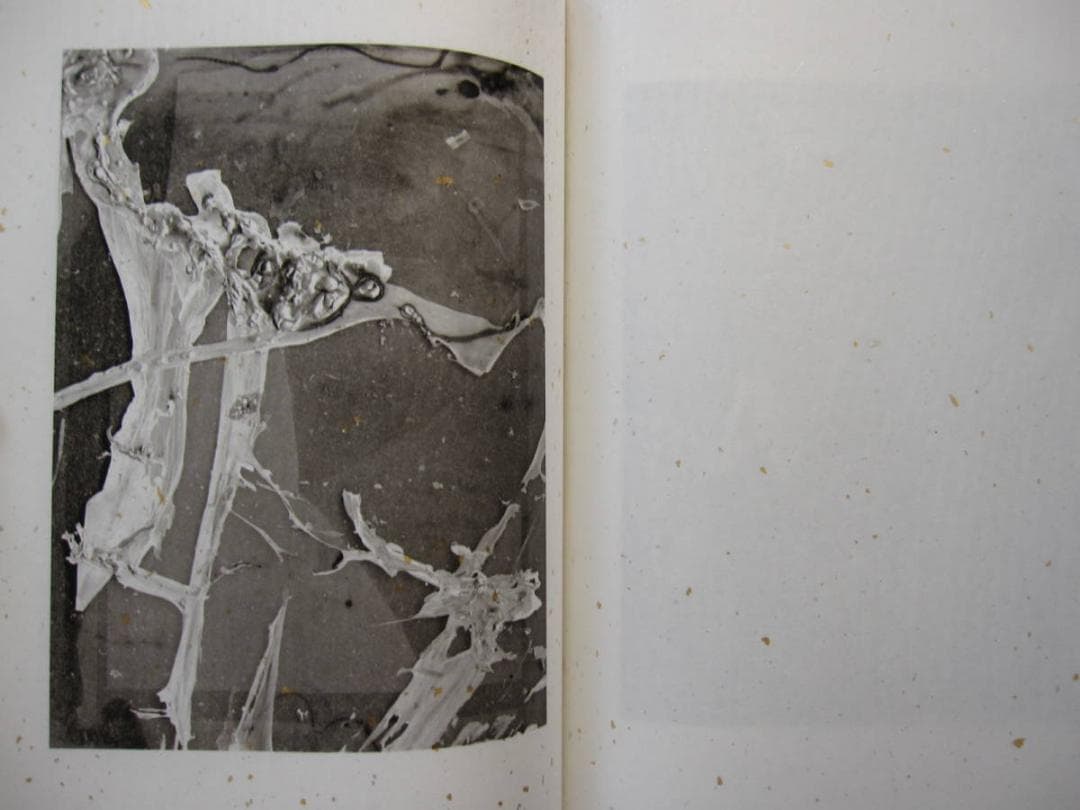 8K/MATTER　横田大輔　Daisuke Yokota　限定500部　町口景
