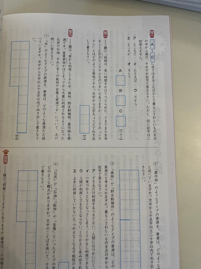 SAPIX コアマスター　6年　国語　12冊セット