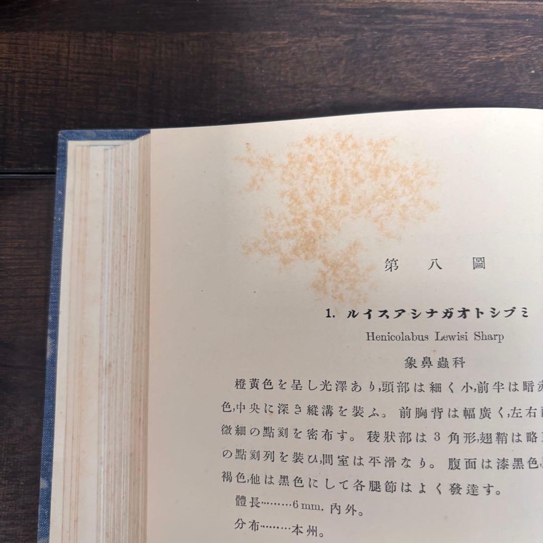 【初版】戦前古書　原色　日本の甲蟲　農学博士　横山桐郎　昆虫　昔の図鑑　戦前