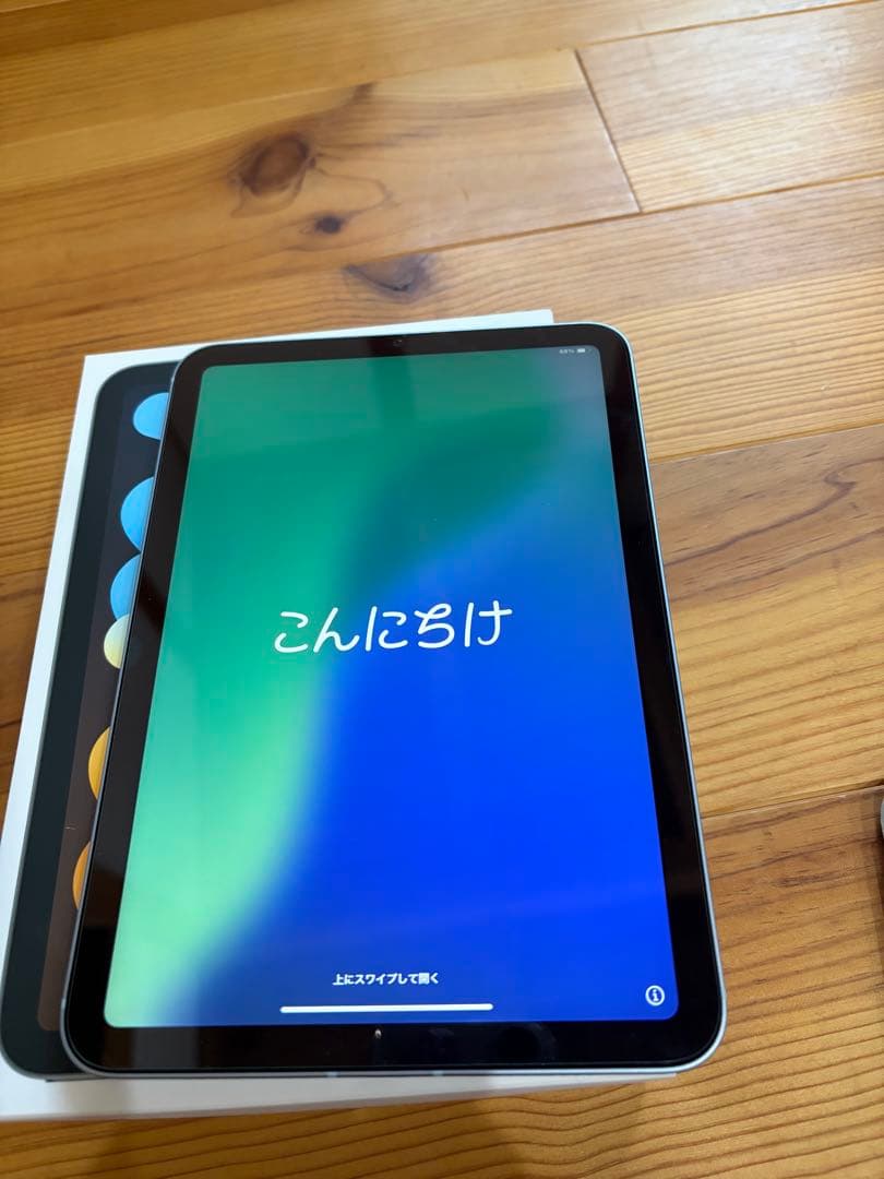 セルラーApple iPad mini 本体 + Apple Pencil プロ