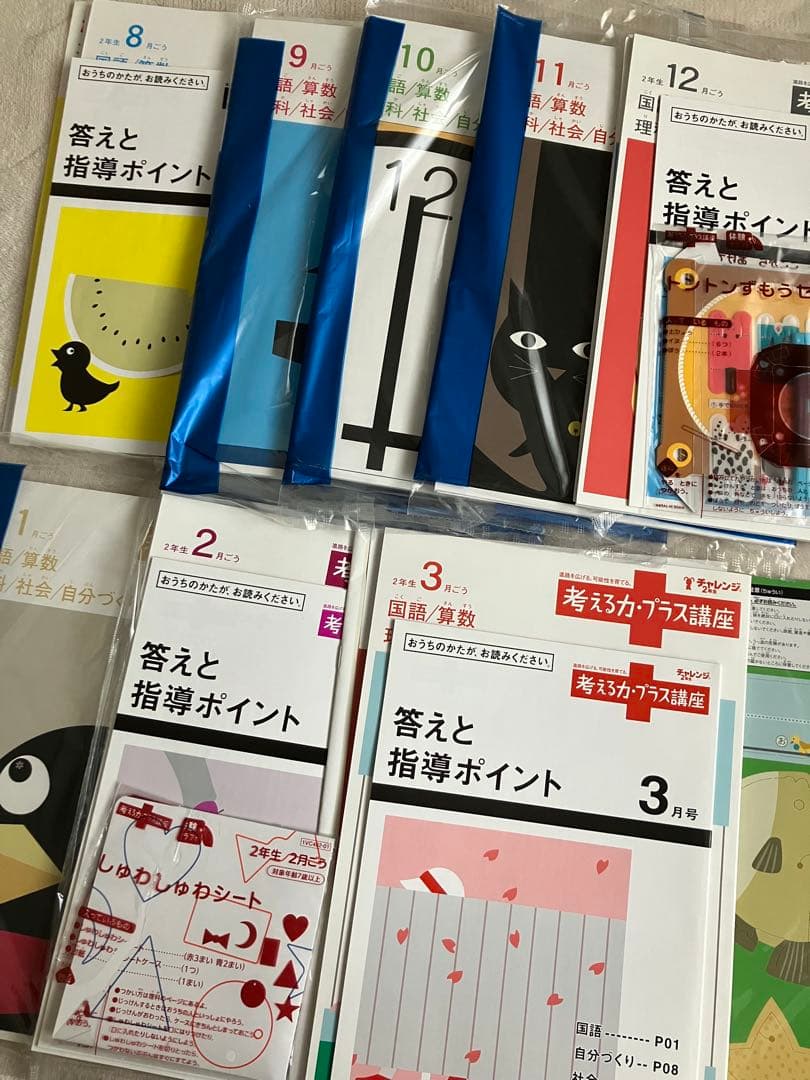 ★進研ゼミ★ 考える力　小学2年生