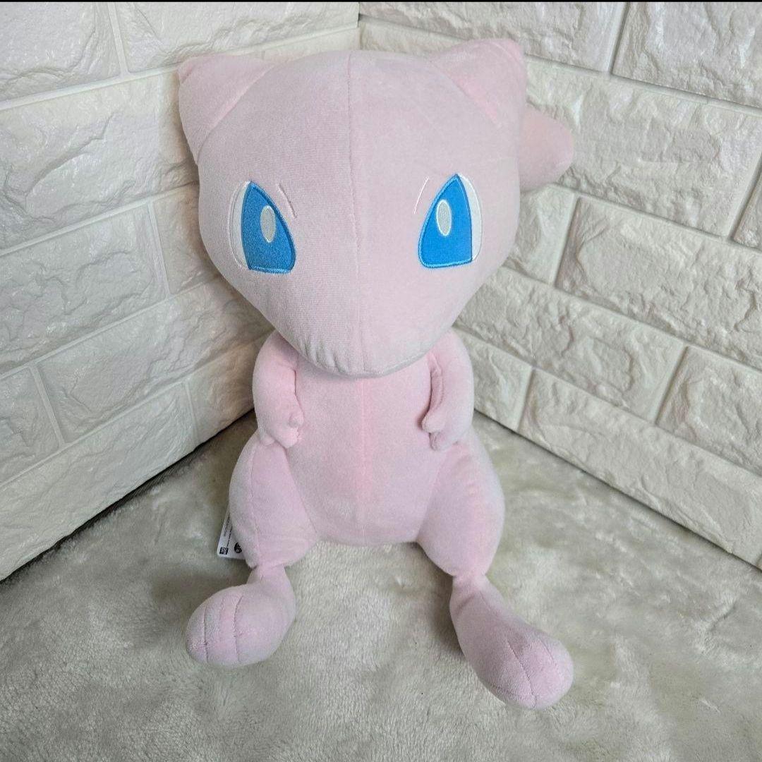 ポケモン　ぬいぐるみ　13個　タグ付き　イーブイ　マリル　ゼニガメ　ヒトカゲ