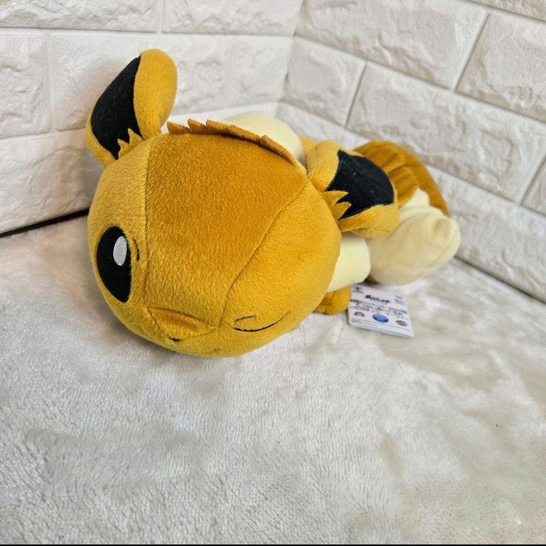 ポケモン　ぬいぐるみ　13個　タグ付き　イーブイ　マリル　ゼニガメ　ヒトカゲ