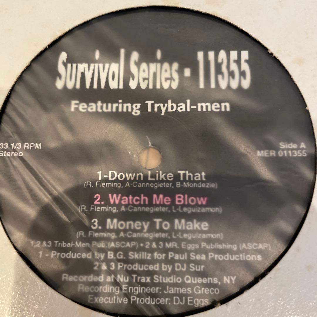 【レア12インチ】Survival Series /11355 12インチ