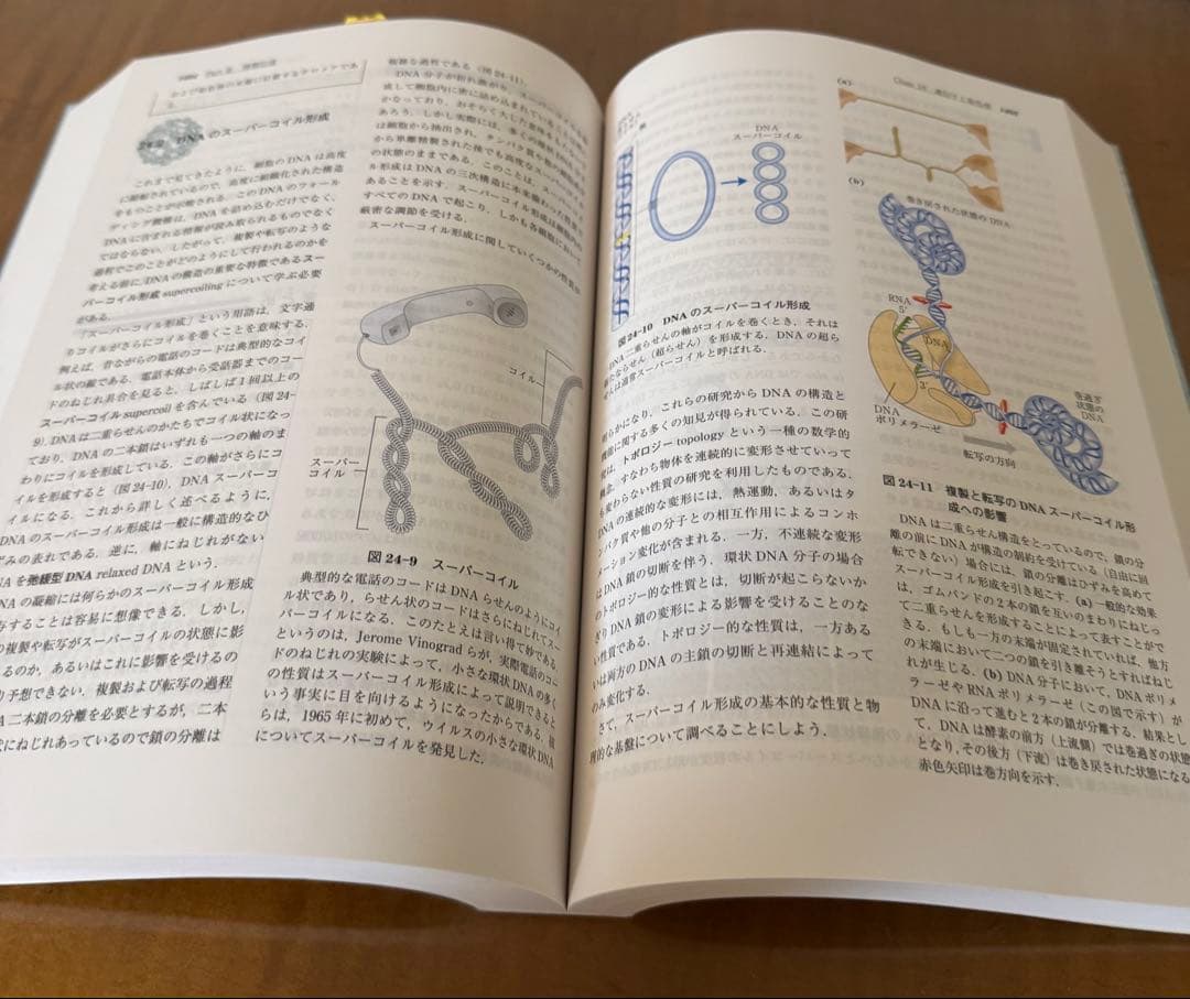 【新品未使用】レーニンジャーの新生化学 生化学　上、下　第6版　２冊セット