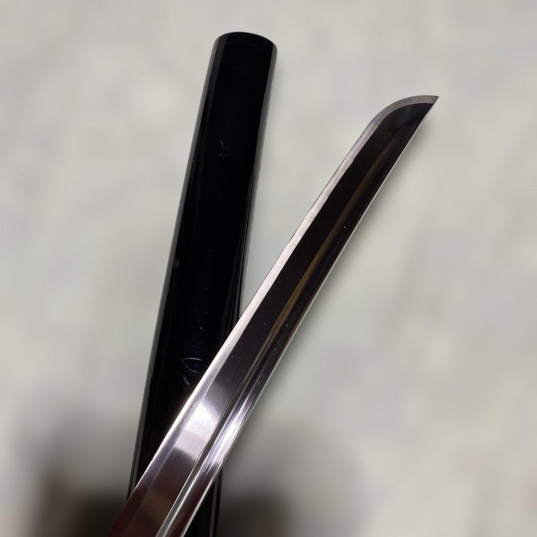 脇差居合刀 黒柄 富士昇龍木瓜鍔 黒呂鞘