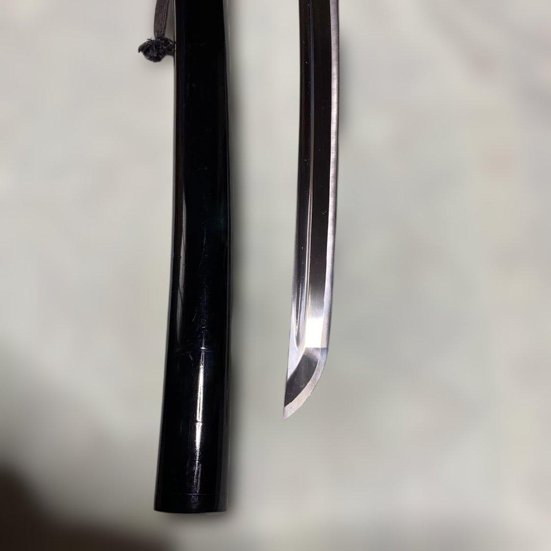 脇差居合刀 黒柄 富士昇龍木瓜鍔 黒呂鞘