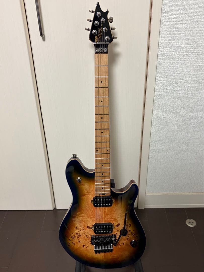EVH Wolfgang WG Standard Exoticウルフギャング