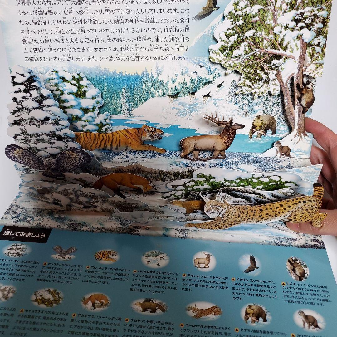 しかけ絵本4冊