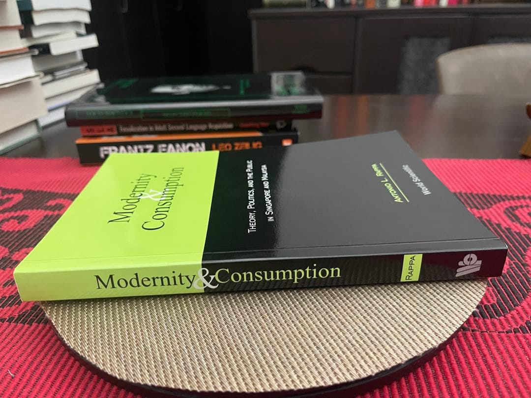 洋書 Modernity & Consumption Antonio L. Rappa