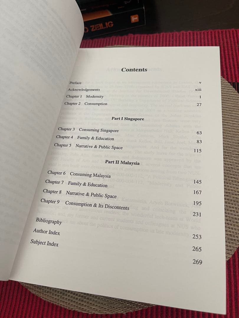 洋書 Modernity & Consumption Antonio L. Rappa