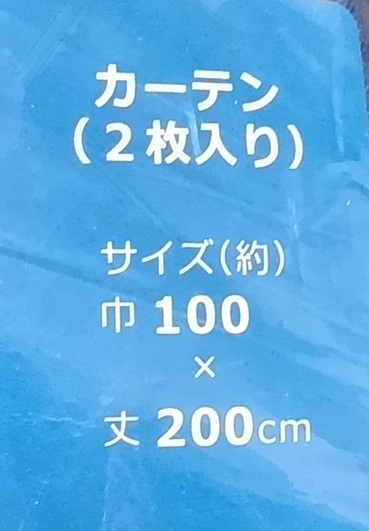 ★カーテン★東京ディズニーリゾート★花火★2枚