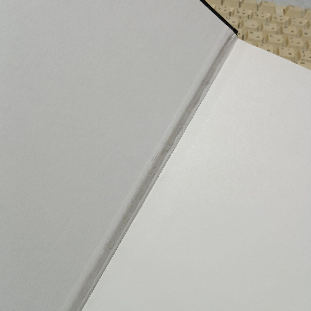 洋書 ビアズリー、ジャポニスム、そしてヴィクトリア朝理想の倒錯