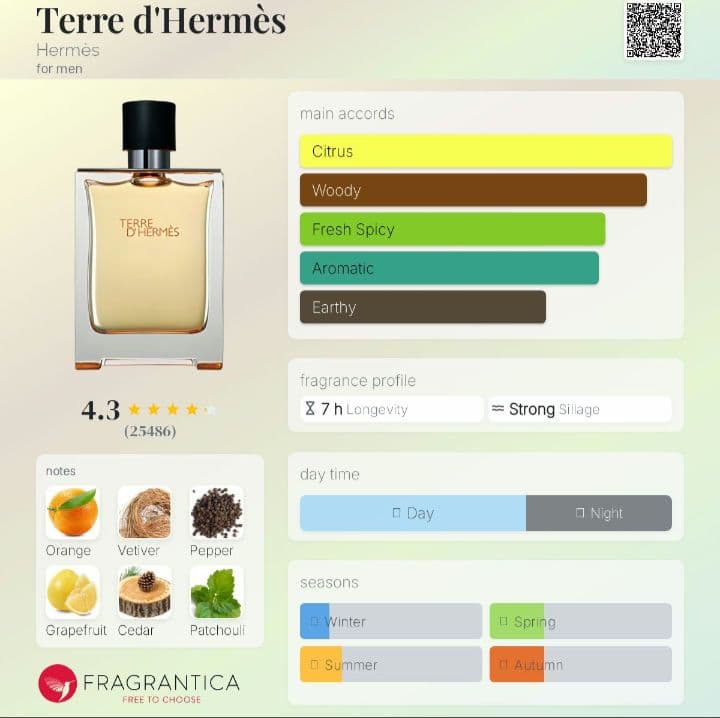 【美品】TERRE D'HERMES EDT 100ml 香水