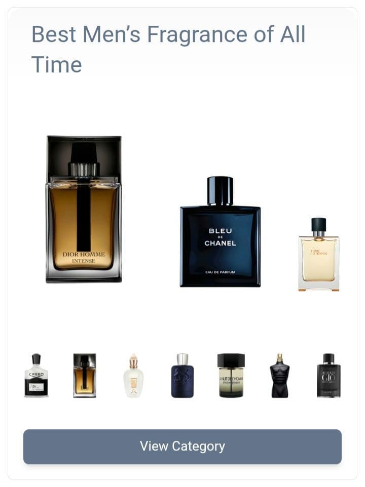 【美品】TERRE D'HERMES EDT 100ml 香水