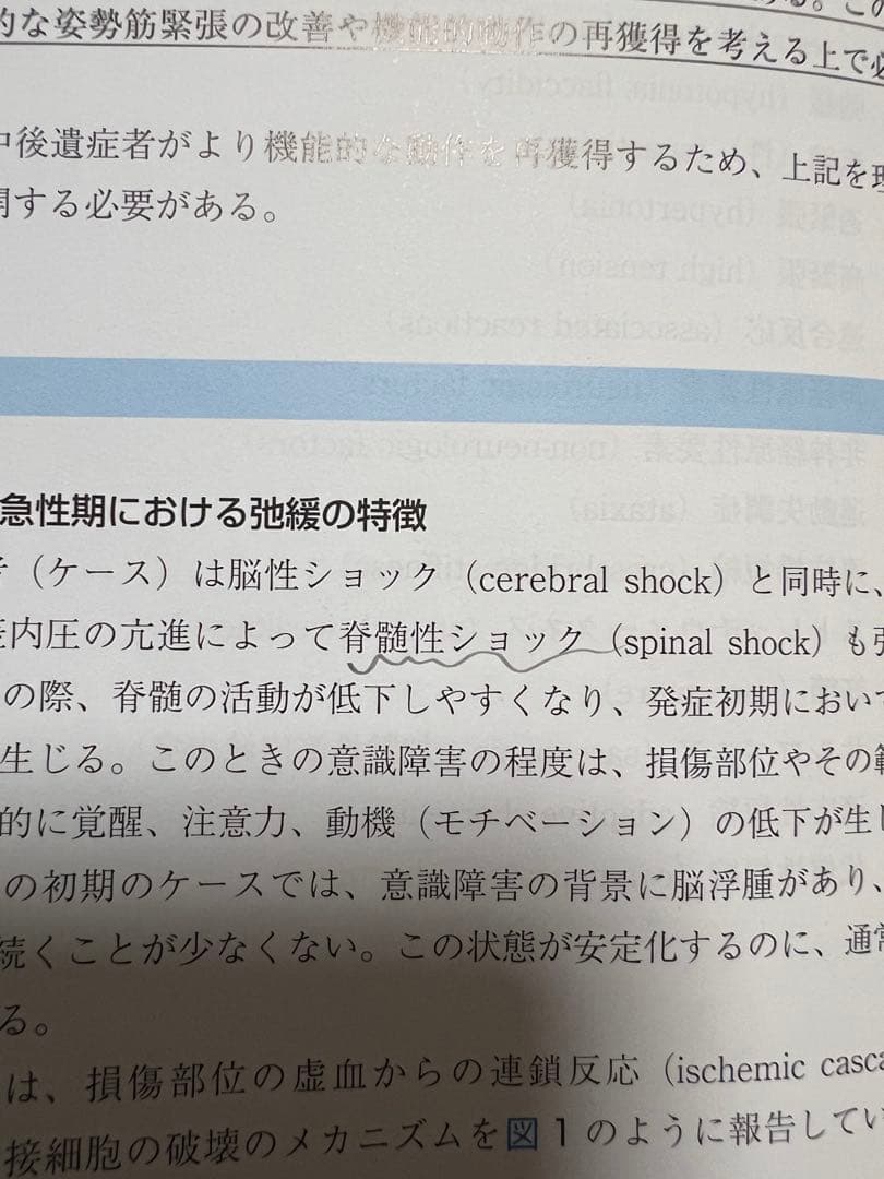 脳卒中後遺症者へのボバースアプローチ 臨床編　基礎編　2冊セット
