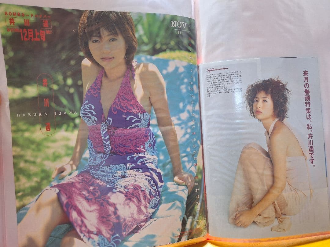 井川遥(1冊200円計算)42冊分167ページ切り抜きしファイリング済み