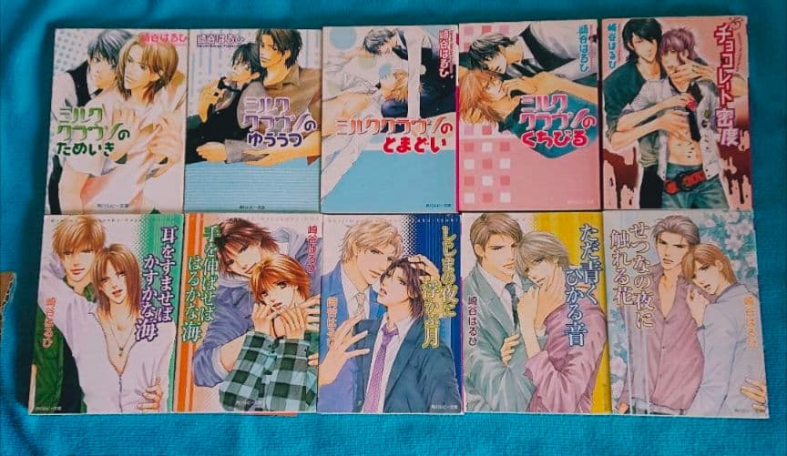 BL文庫 ボーイズラブ まとめ売り　60冊　崎谷はるひ　入手困難　秘蔵　絶版