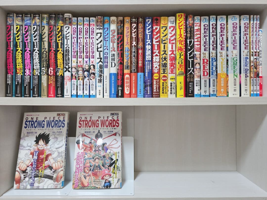 ONEPIECE 既刊全巻 1-113巻+関連本37冊セット/W02