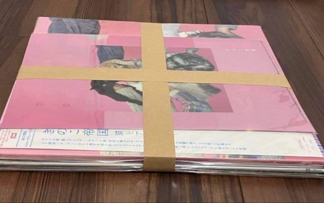きのこ帝国 アナログ レコード 3種セット 特典クリアファイル付 新品